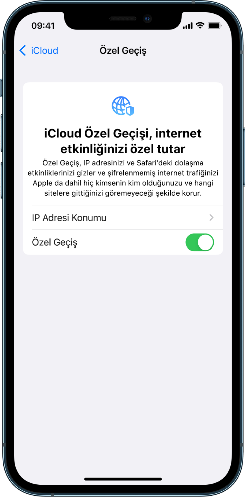 Özel Geçiş’i açıp kapatabileceğiniz Ayarlar ekranı.