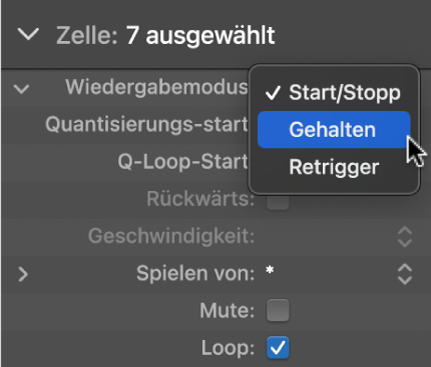 Abbildung. Einstellung „Wiedergabemodus“ im Informationsfenster „Zelle“