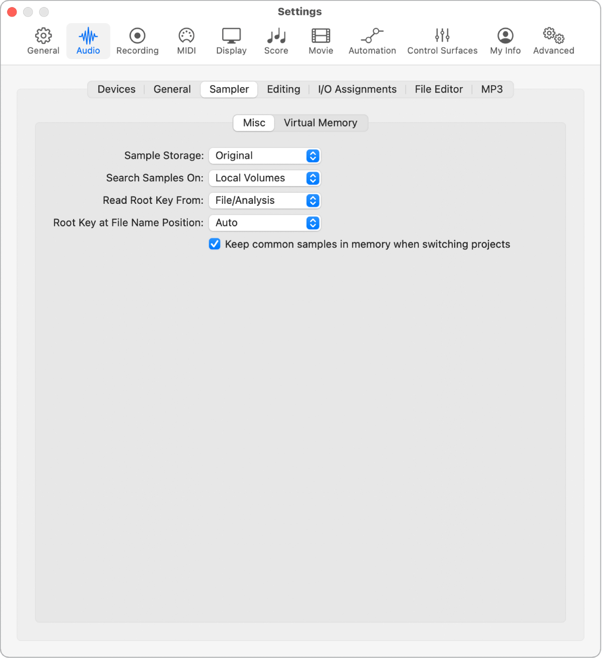Figure. Audio Sampler Misc settings.