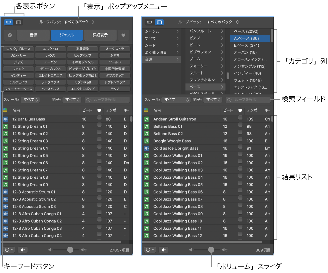 図。ループブラウザ。