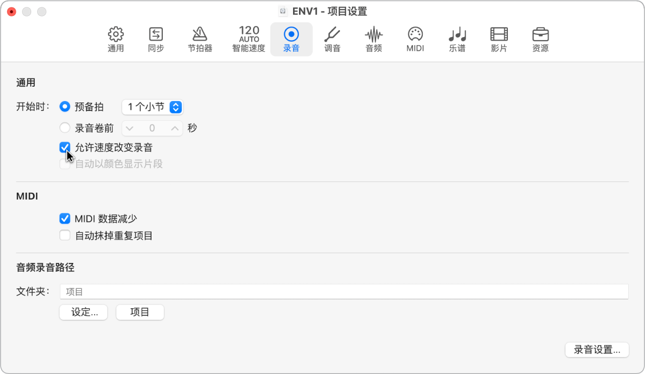 图。“录音项目设置”面板。