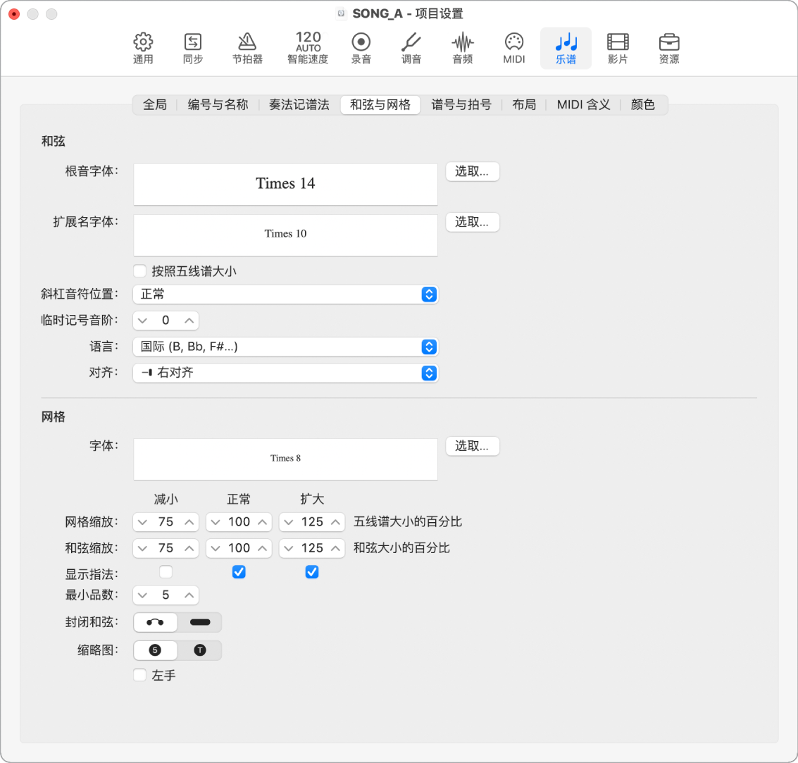 图。“和弦与网格”项目设置。