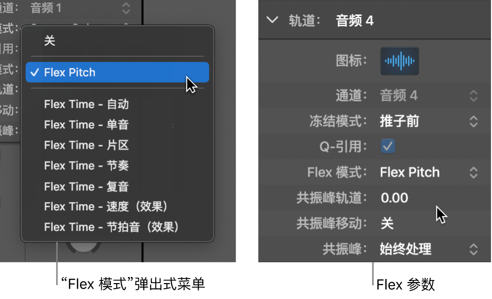 图。显示 Flex 算法和参数的轨道检查器。