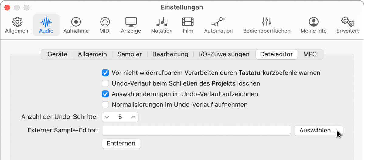 Abbildung. Bereich „Dateieditor“ in den Audioeinstellungen