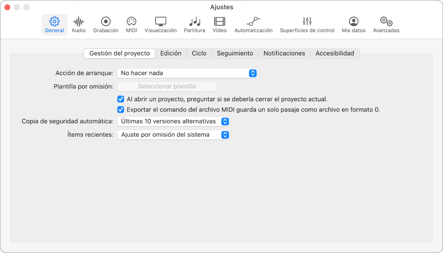 Ilustración. Ajustes generales de “Gestión del proyecto”.
