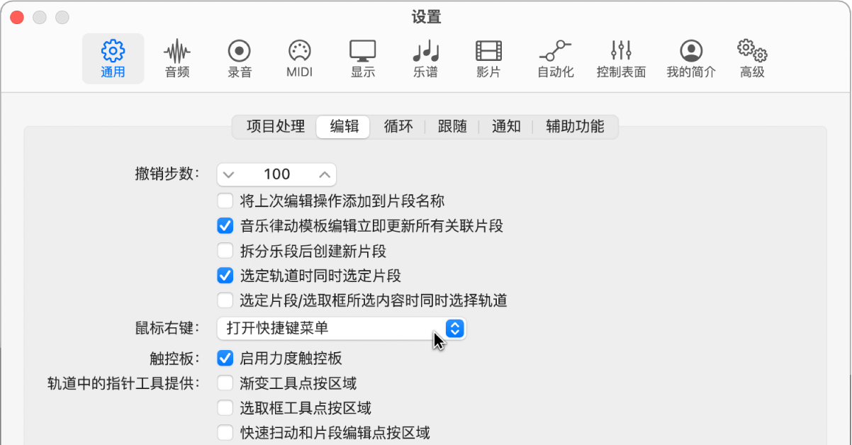 图。“通用”设置的“编辑”面板中的“指针工具”复选框。