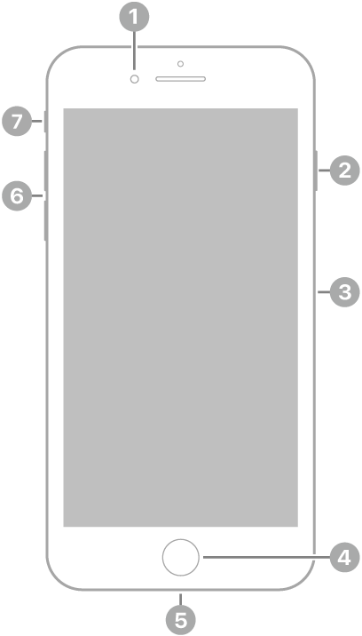 iPhone 8 Plus set forfra. Kameraet på forsiden er øverst til venstre for højttaleren. Fra øverst til nederst på højre side er sideknappen og SIM-bakken. Knappen Hjem er placeret nederst i midten. Lightning-stikket er i bunden. Fra nederst til øverst på venstre side er lydstyrkeknapperne og kontakten Ring/lydløs.