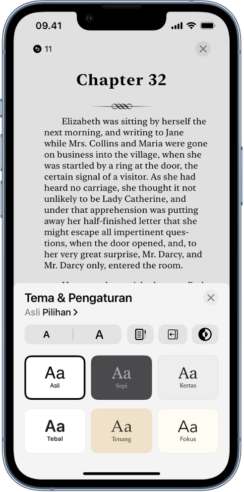 Pilihan Tema dan Pengaturan menampilkan kontrol untuk ukuran font, tampilan pengguliran, gaya membalik halaman, kecerahan, dan gaya font.