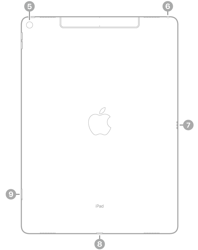 The back view of iPad Pro with callouts to the rear camera at the top left, the headphone jack at the top right, the Smart Connector on the right, the Lightning connector at the bottom center, and the SIM tray (Wi-Fi + Cellular) at the bottom left.