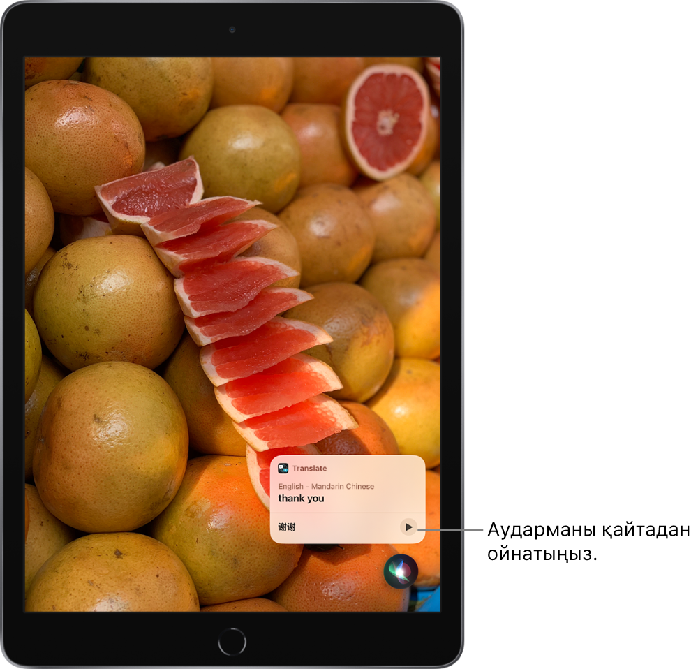 Siri көмекшісі ағылшынша «thank you» тіркесінің мандарин тіліне аудармасын көрсетеді. Аударманың оң жағындағы түйме аударманың дыбысын қайта ойнатады.