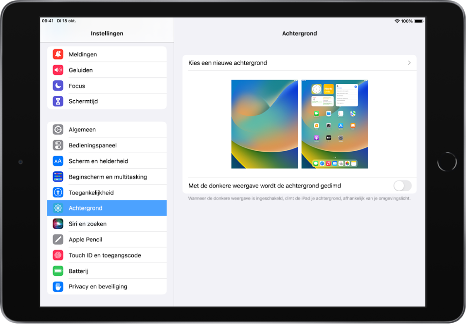 Het scherm voor de achtergrondinstelling, met bovenin de knop voor het kiezen van een nieuwe achtergrond, en afbeeldingen van het toegangsscherm en het beginscherm met de huidige achtergrond.