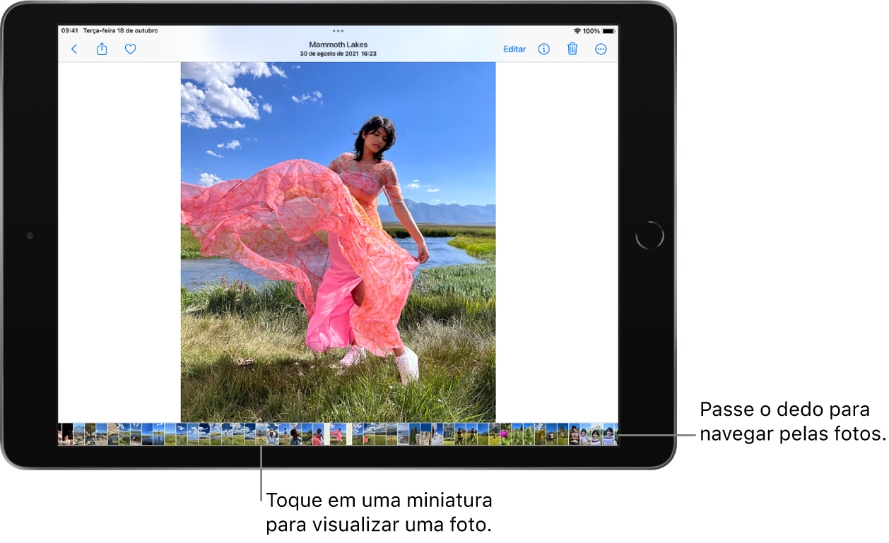 Uma foto em tela cheia com miniaturas de outras fotos da fototeca ao longo da parte inferior da tela. Na parte superior esquerda, o botão Voltar. Ao longo da parte superior direita, os botões Compartilhar, Favorito, Informações, Apagar e Editar.