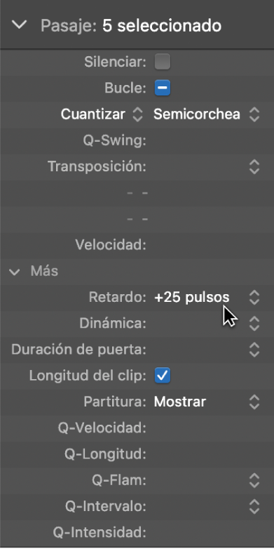 Ilustración. Parámetro Retardo en el inspector de pasajes.