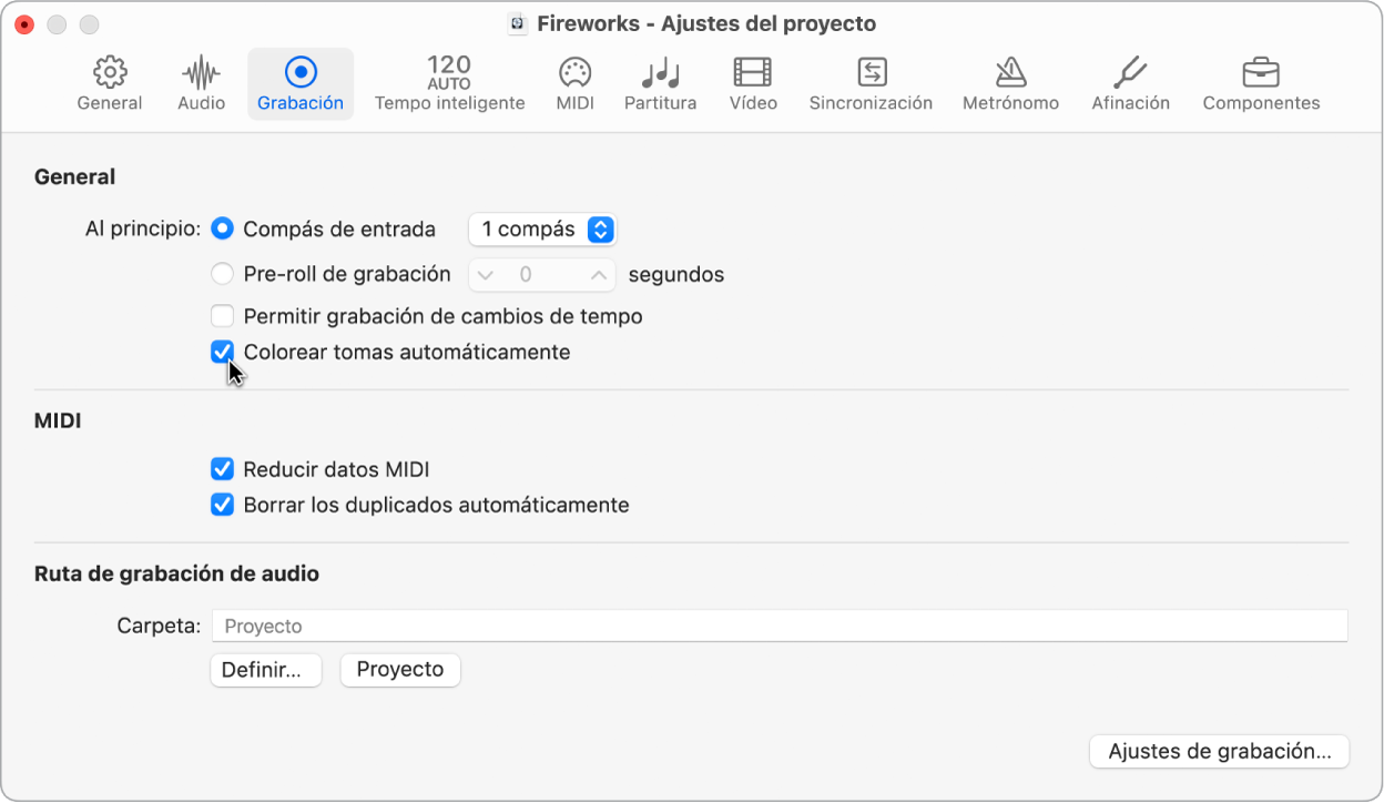 Ilustración. Se está seleccionando la opción “Colorear tomas automáticamente” en el panel Grabación de los ajustes del proyecto.