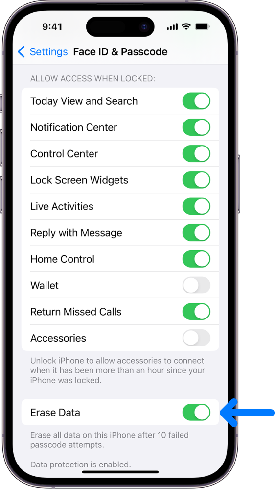 The Erase Data control, located at the bottom of the Face ID and Passcode screen in Settings.