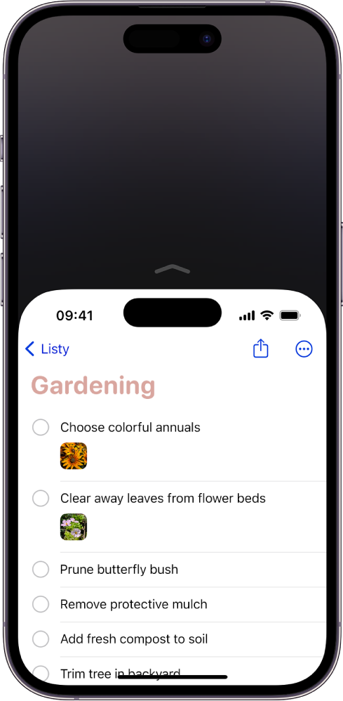 Ekran iPhone’a z włączonym łatwym dostępem. Górna część ekranu została przesunięta w dół, dzięki czemu znajduje się w zasięgu kciuka.