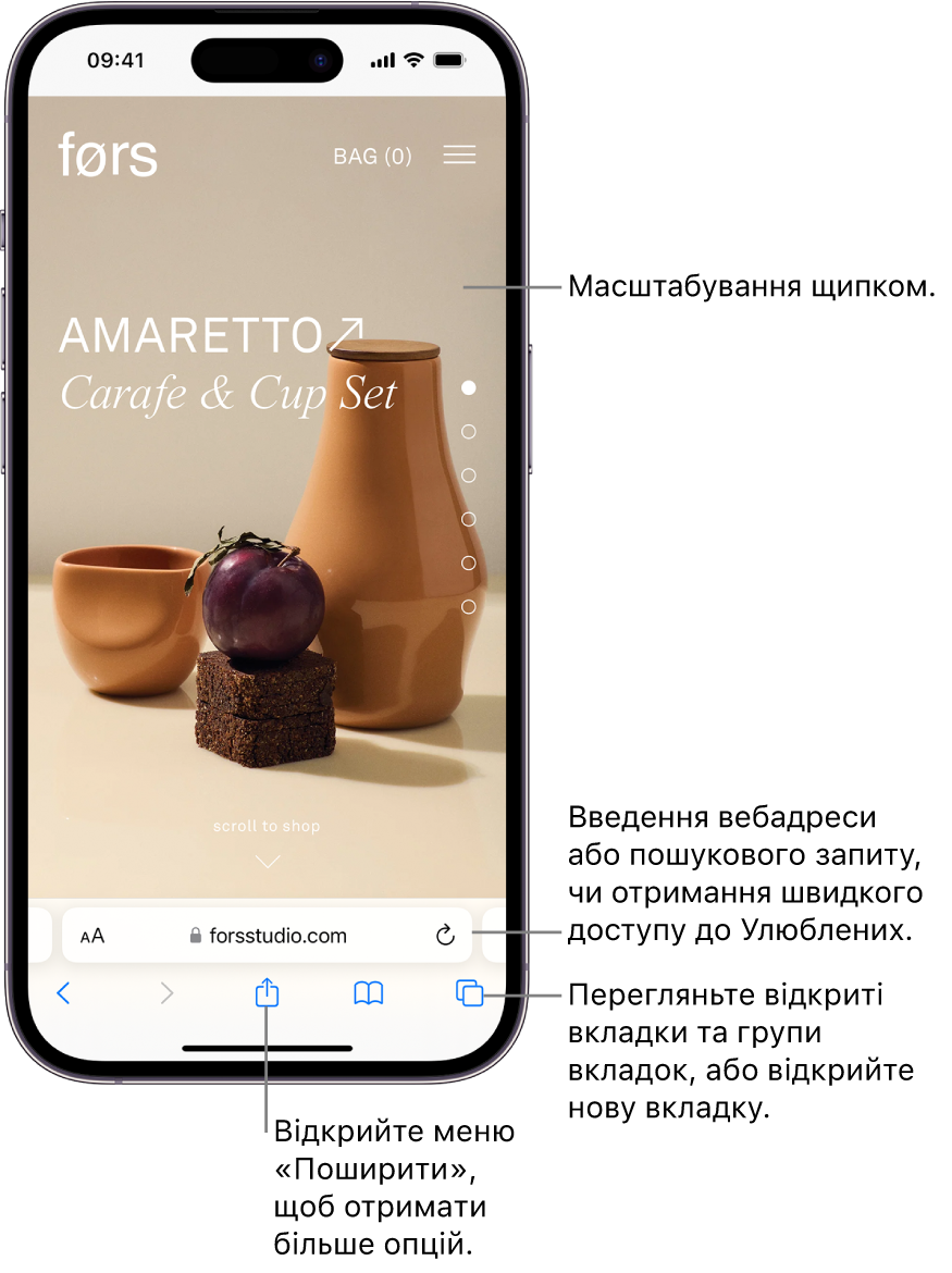 Вебсайт відкрито в Safari, унизу розташовано поле адреси. Унизу зліва направо розміщено кнопки «Назад», «Вперед», «Поширити», «Закладки» та «Вкладки».