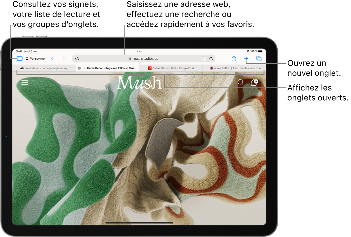 Une page web ouverte. Dans la partie supérieure, de gauche à droite, se trouvent le bouton « Barre latérale », le titre du groupe d’onglets actuellement ouvert, les boutons Précédent et Suivant, le champ de recherche, le bouton Partager, le bouton « Nouvel onglet » et le bouton « Aperçu des onglets ».