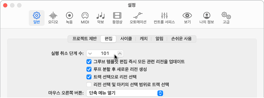 그림. 일반 설정의 편집 패널의 ‘실행 취소 단계 수’필드.