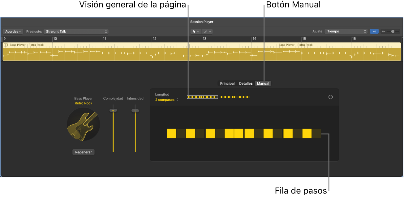 Ilustración. Visualización manual del editor de Session Player.
