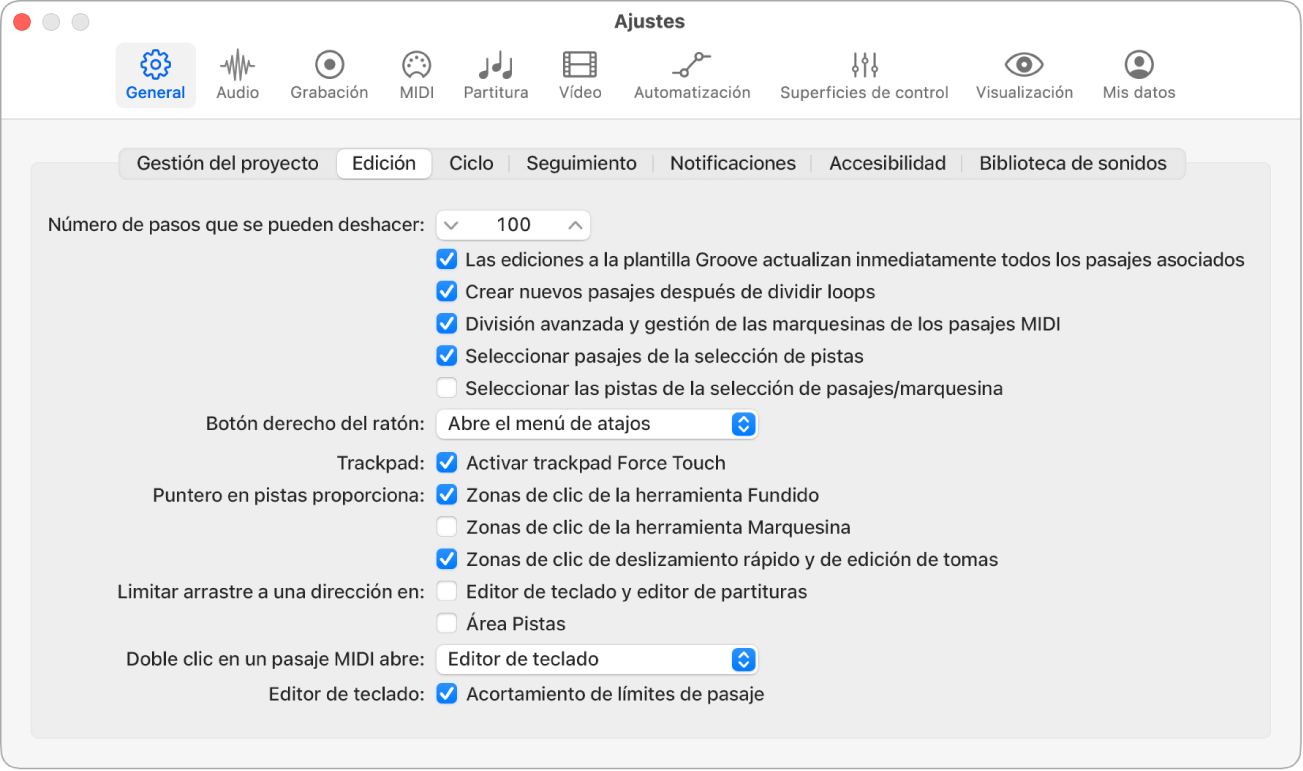 Ilustración. Campo “Número de pasos que se pueden deshacer” del panel Edición de los ajustes generales.