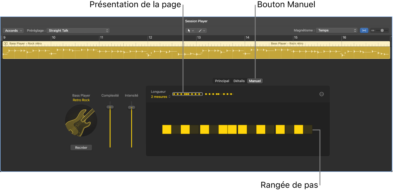 Figure. Présentation Manuel dans l’éditeur de Session Player.