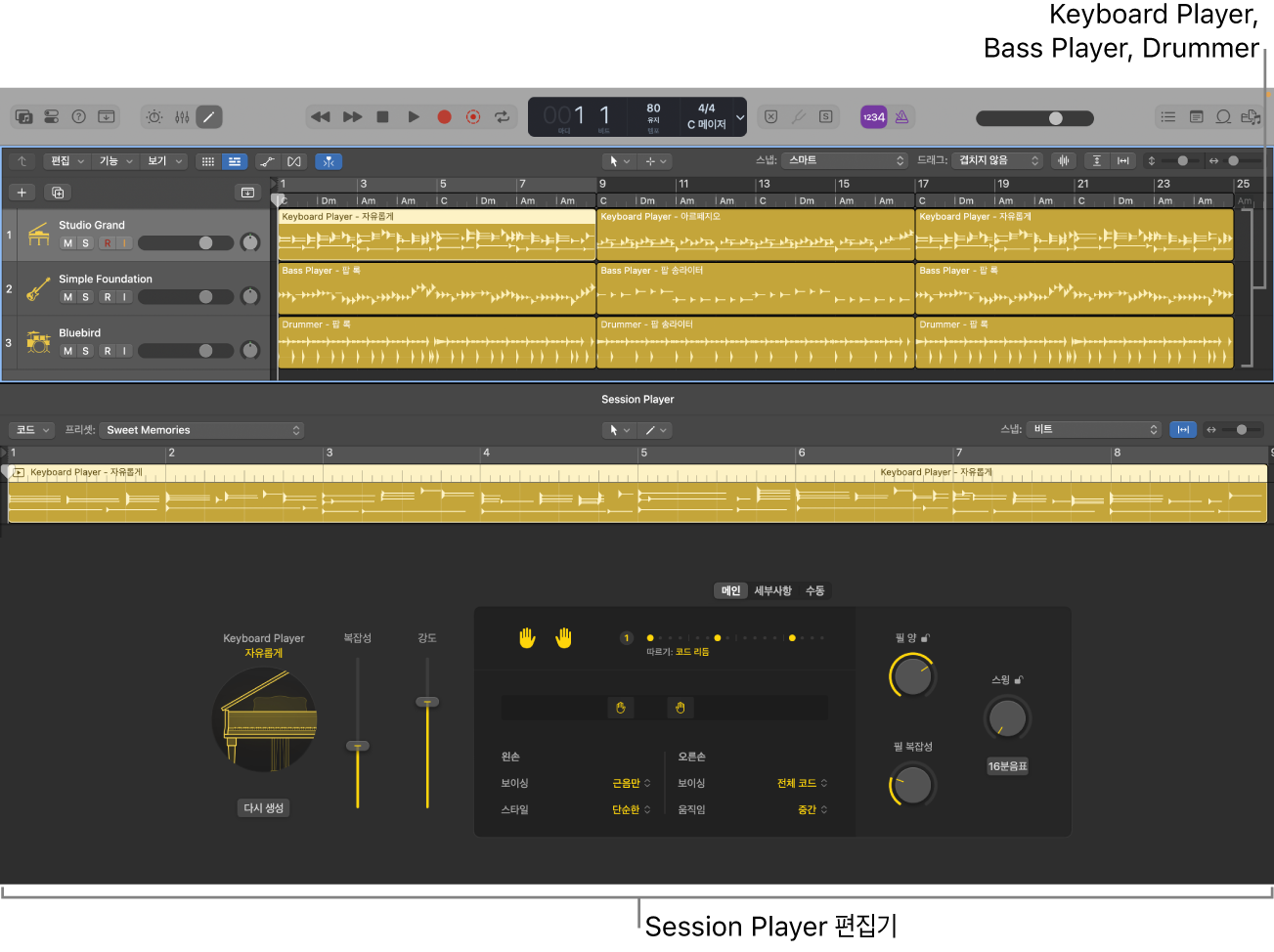 그림. 트랙 영역에 있는 Session Player 및 Session Player 편집기.