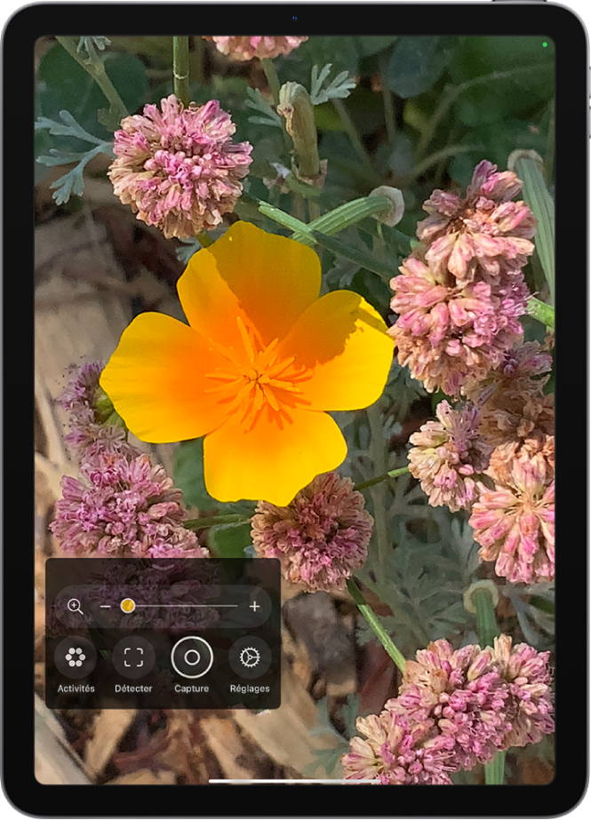 L’app Loupe affichant une fleur en gros plan.