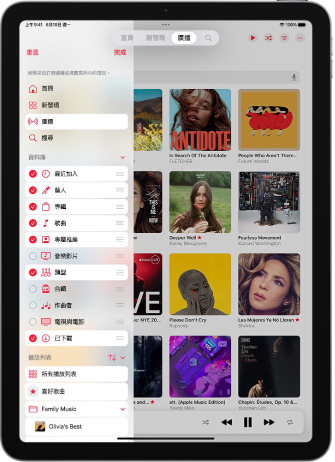 直向的 iPad,顯示編輯左側側邊欄和螢幕最上方標籤頁列的選項。