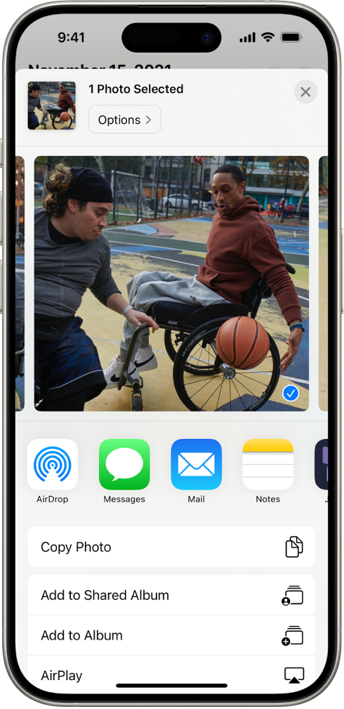 iPhone ସ୍କ୍ରୀନ୍ର ଶୀର୍ଷ ଭାଗରେ ଏକ ଚୟନିତ ଫଟୋ ଡିସ୍ପ୍ଲେ ହୋଇଛି ଏବଂ ନିମ୍ନରେ ଶେୟର୍ କରିବା ବିକଳ୍ପଗୁଡ଼ିକର ଏକ ରୋ ଅଛି। ନିମ୍ନରେ ଅତିରିକ୍ତ ବିକଳ୍ପଗୁଡ଼ିକ ଦେଖାଯାଏ, ଯେଉଁଥିରେ ଫଟୋ କପି କରନ୍ତୁ, ଶେୟର୍ କରାଯାଇଥିବା ଆଲ୍ବମ୍ରେ ଯୋଡ଼ନ୍ତୁ, ଆଲ୍ବମ୍ରେ ଯୋଡ଼ନ୍ତୁ ଏବଂ AirPlay ଅନ୍ତର୍ଭୁକ୍ତ।