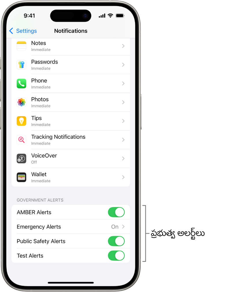 మీరు ప్రభుత్వ అలర్ట్లను స్వీకరించడానికి ఆన్ చేయగల ప్రభుత్వ అలర్ట్లను చూపుతున్న నోటిఫికేషన్ల స్క్రీన్.