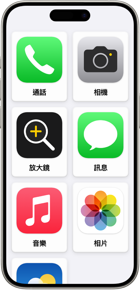 iPhone 顯示「輔助取用」主畫面,其中顯示 App 的大圖示。