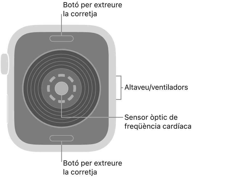 La part de darrere de l’Apple Watch SE 3 mostra els botons per obrir la corretja a dalt i a baix; els sensors òptics cardíacs al mig, i l’altaveu i les sortides de ventilació a la part lateral del rellotge.