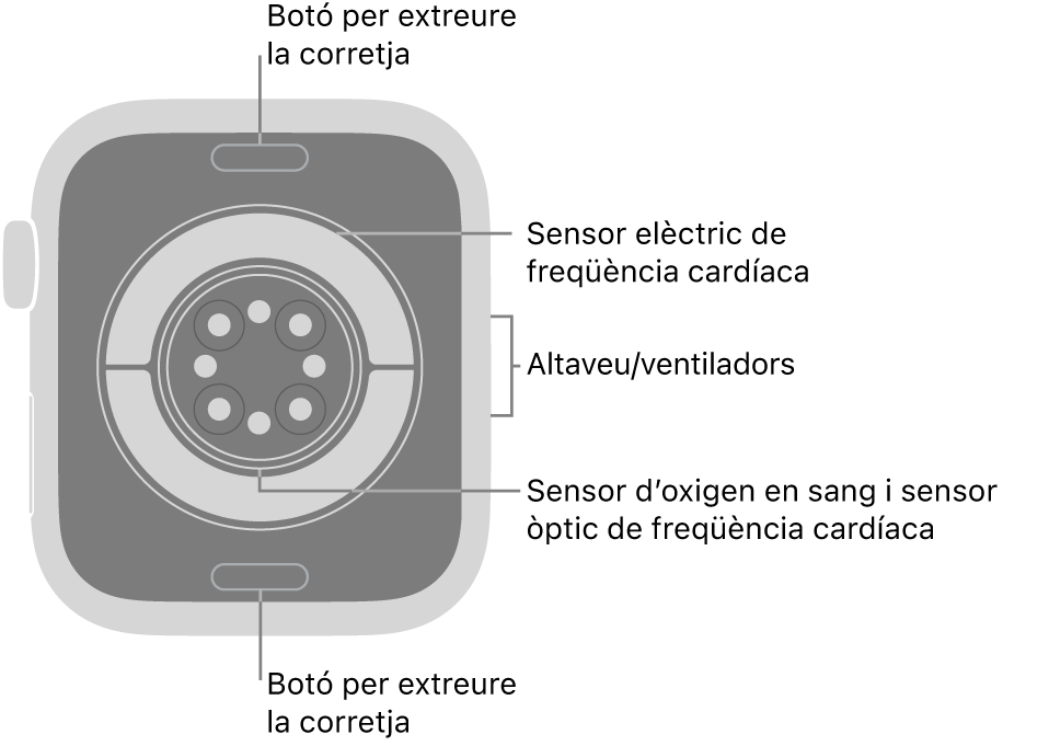 La part de darrere de l’Apple Watch Series 11 mostra els botons per obrir la corretja a dalt i a baix; els sensors elèctrics cardíacs, els sensors òptics cardíacs i els sensors d’oxigen en sang al mig, i l’altaveu i les sortides de ventilació a la part lateral del rellotge.