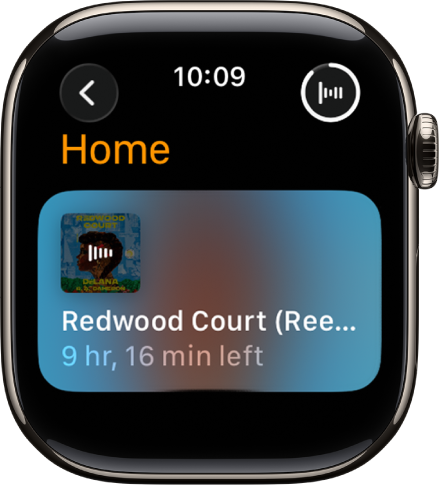 An Audiobooks screen showing the book currently playing, with the title and time remaining. The Now Playing button is at the top right.