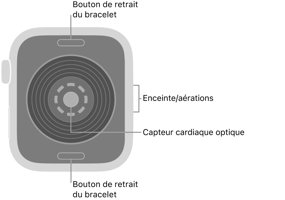 L’arrière de l’Apple Watch SE 3, avec les boutons de retrait du bracelet en haut et en bas, le capteur optique de fréquence cardiaque au milieu, ainsi que le haut-parleur et les aérations sur le côté.