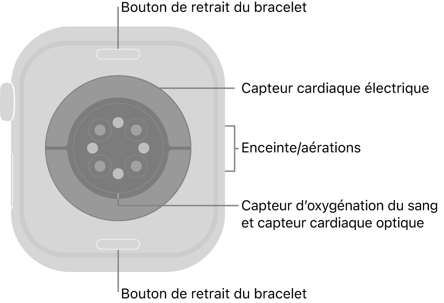 L’arrière de l’Apple Watch Series 10, avec les boutons de retrait du bracelet en haut et en bas, les capteurs électriques de fréquence cardiaque, les capteurs optiques de fréquence cardiaque et les capteurs d’oxygénation du sang au milieu, ainsi que le haut-parleur et les aérations sur le côté.