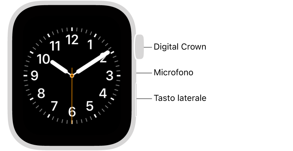 La parte anteriore di Apple Watch Series 6, con lo schermo che mostra il quadrante, e la Digital Crown, il microfono e il pulsante laterale dall’alto verso il basso del lato dell’orologio.