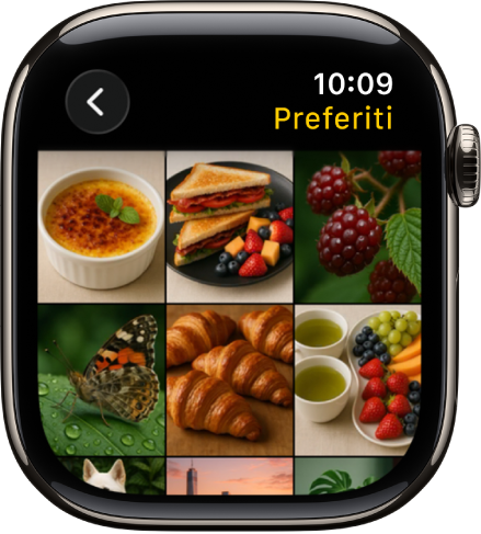 L’app Foto su Apple Watch, con un album chiamato Preferiti e varie foto visualizzate in una griglia.