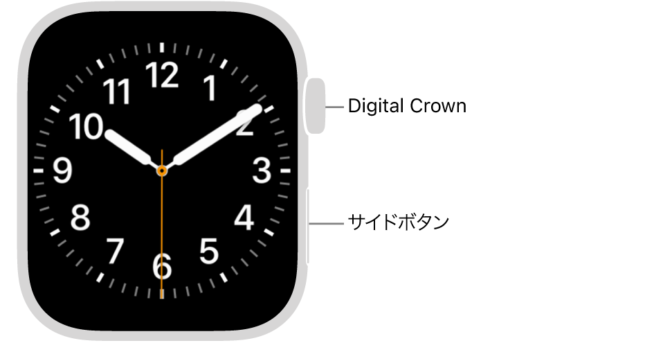Apple Watchの前面。右側面の上部にDigital Crown、右下にサイドボタンが表示されています。