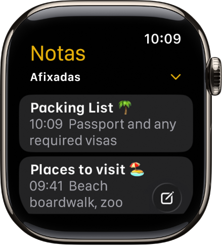 O ecrã Notas a mostrar duas notas afixadas.