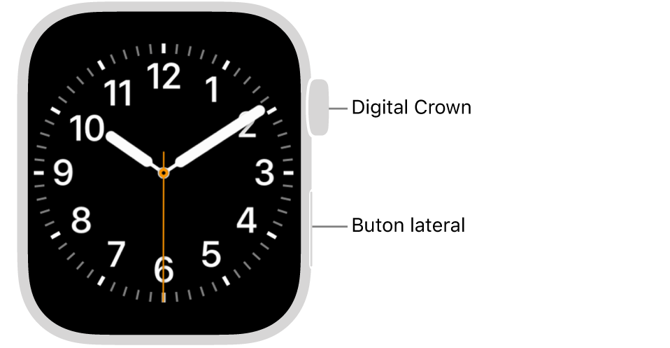 Partea frontală a dispozitivului Apple Watch prezentând coroana Digital Crown sus pe partea din dreapta a Watch‑ului și butonul lateral prezentat în dreapta jos.