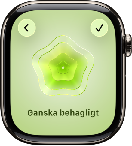 Appen Mindfulness visar en sinnestillståndsstatus.