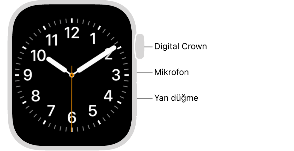 Saatin yan tarafında yukarıdan aşağıya saat kadranını gösteren ekran, Digital Crown, mikrofon ve yan düğme ile Apple Watch Series 9’un önü.