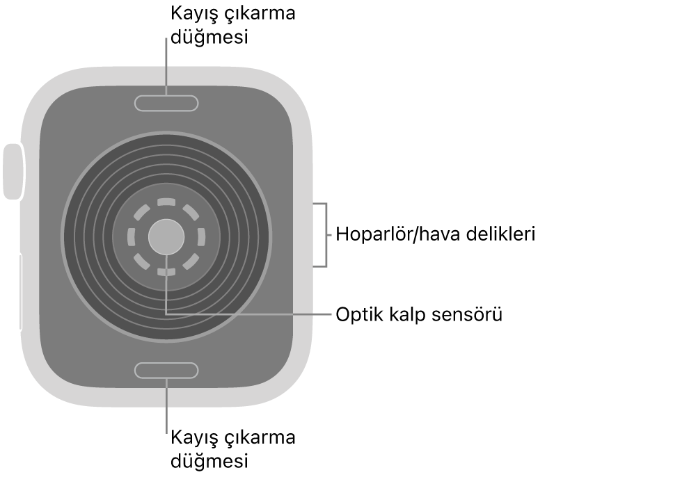 Üstte ve altta kayış çıkarma düğmeleri, ortada optik kalp sensörü ve yanda hoparlör/hava boşlukları ile Apple Watch SE 3’ün arkası.