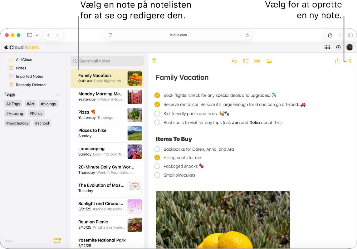 En åben note på iCloud.com med adskillige noter vist i en indholdsoversigt samt en åben note til højre for indholdsoversigten.