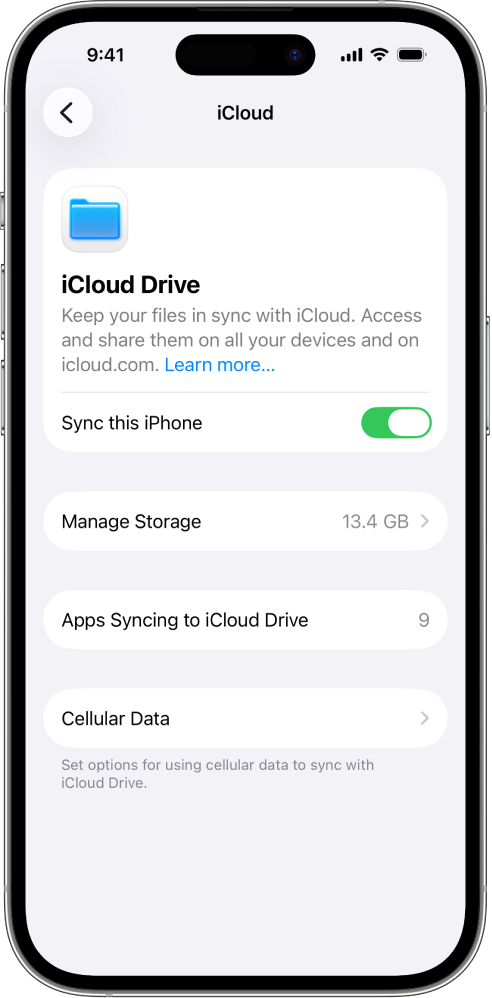 Layar iCloud Drive di pengaturan iCloud. Selaraskan iPhone ini dinyalakan.