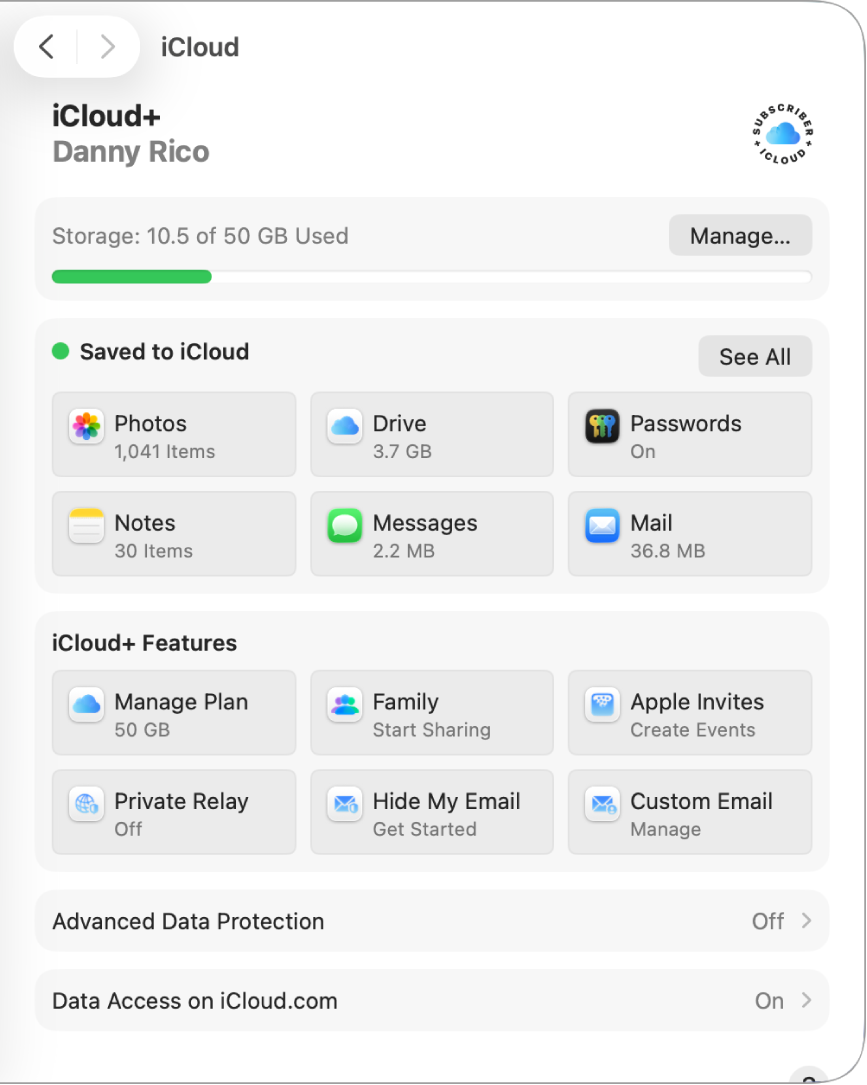 iCloud 기능이 선택된 시스템 설정 창