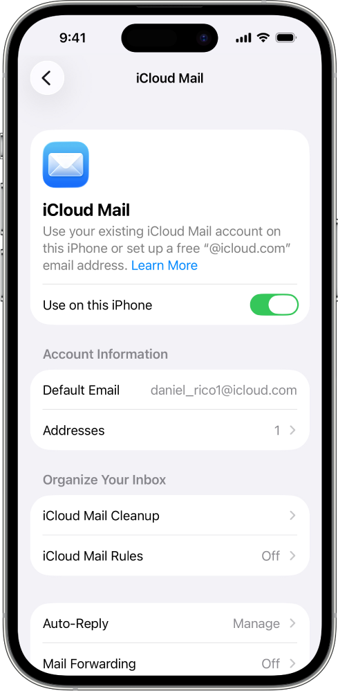 Экран «Почта» в настройках iCloud. Использование на этом iPhone включено.