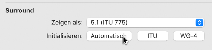 Abbildung. Tasten „Initialisieren“ in den Surround-Einstellungen